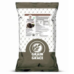 Grain n grace Egg-Free Lava Mix 5kg