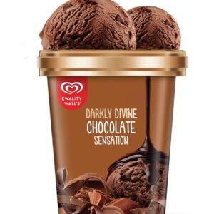 Kwality Walls Divine Chocolate (2*700ml)