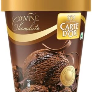 Kwality Walls Divine Chocolate 100ml
