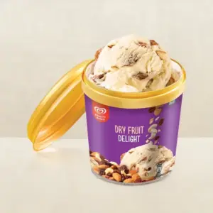 Kwality Walls Dryfruit Delight 100 ml